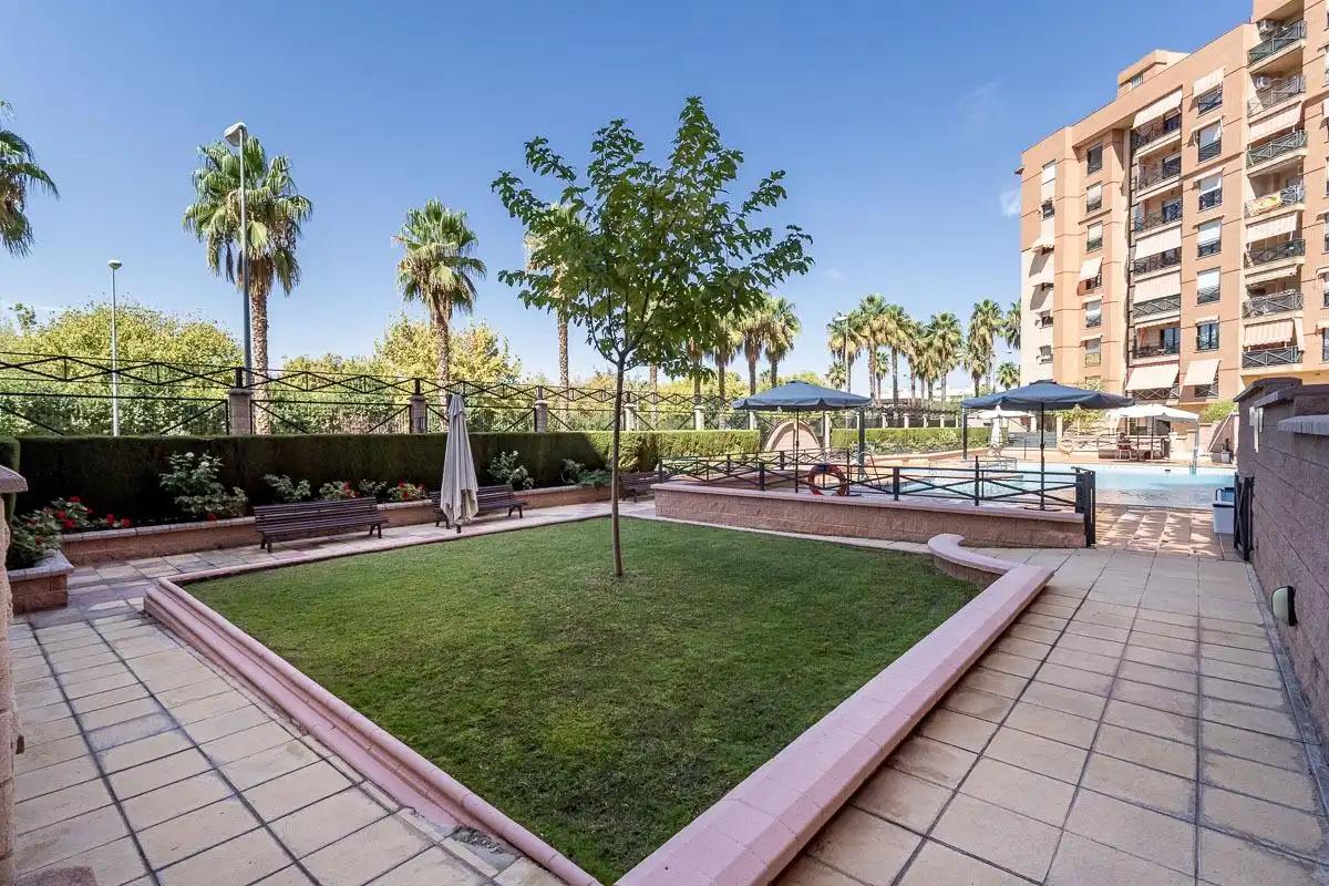 Ground floor with pool for sale in Calle PDTA RAFAEL GAGO PALOMO 9, imagen 2