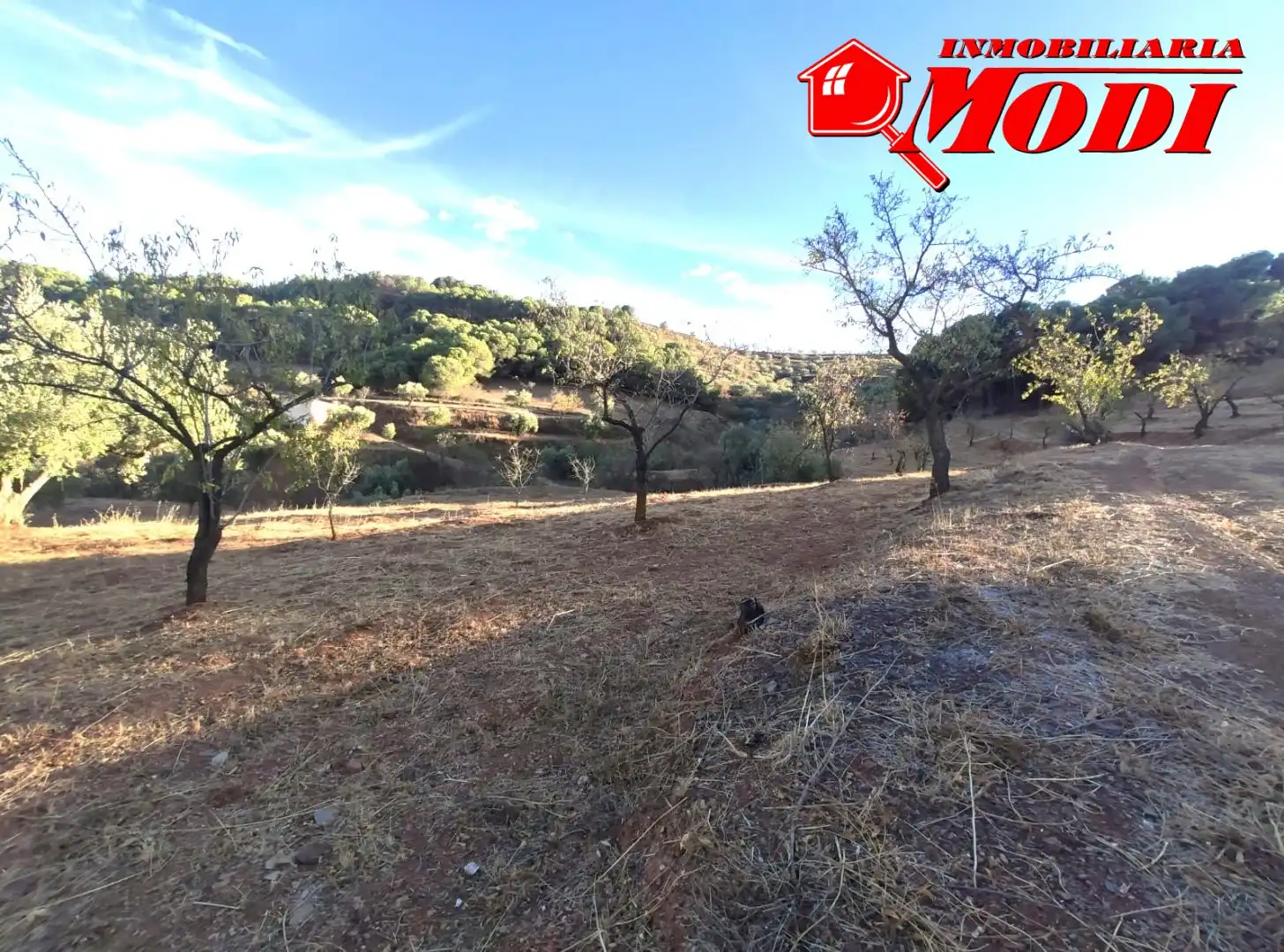 Finca rústica en venda en Villamena amb Jardí privat