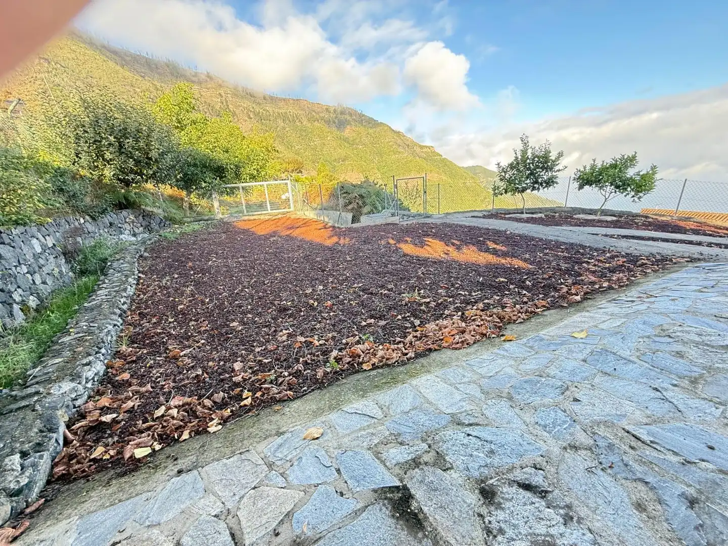 House for sale in Palo Blanco, imagen 4