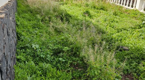 Foto 4 de Casa o chalet en venta en Camino Pájara, Betancuria, Las Palmas