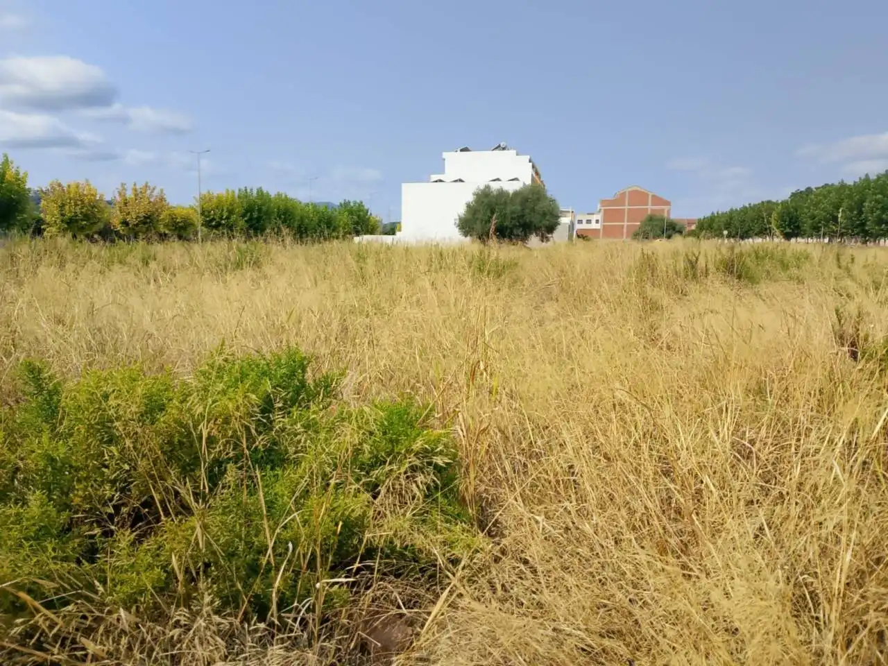 Residential land for sale in Calle Botánico Cabanilles, imagen 3
