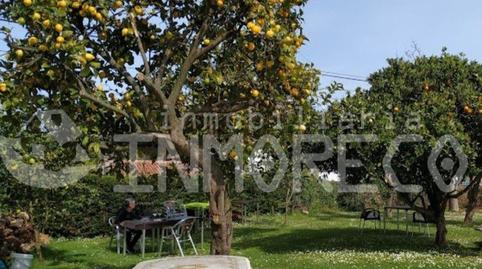 Photo 4 of Premises for sale in Alfoz de Lloredo, Cantabria