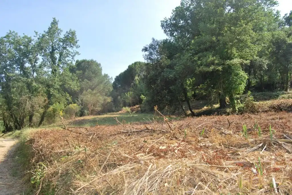 Terreny rústic en venda a Sant Celoni, imagen 18
