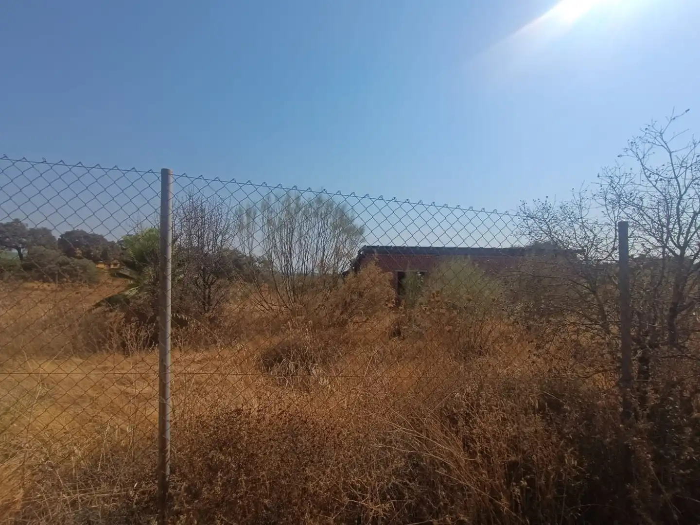 Terreno rustico in vendita a Castilblanco de los Arroyos, imagen 8