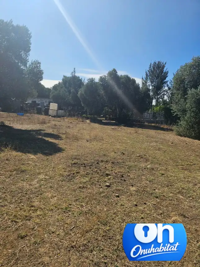 Terrenos y solares en venta en Gibraleón, imagen 18