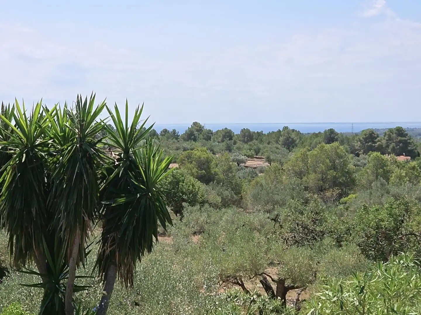 Country house zum Verkauf in L'Ametlla de Mar  mit Privatgarten, Terrasse und Schwimmbad