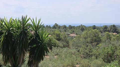 Foto 2 de Finca rústica en venda a L'Ametlla de Mar pueblo, L'Ametlla de Mar