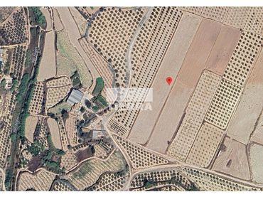 Terreny residencial en venda a Casa alcántara Polígono 18