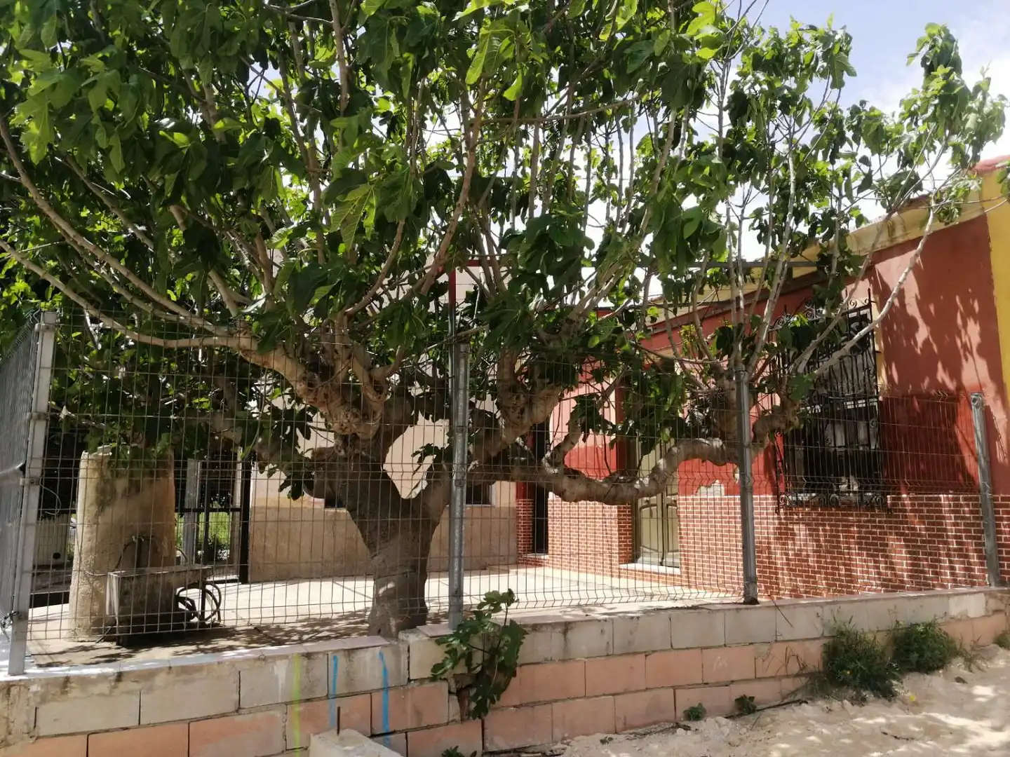 Vista exterior de Casa o xalet en venda en Orihuela