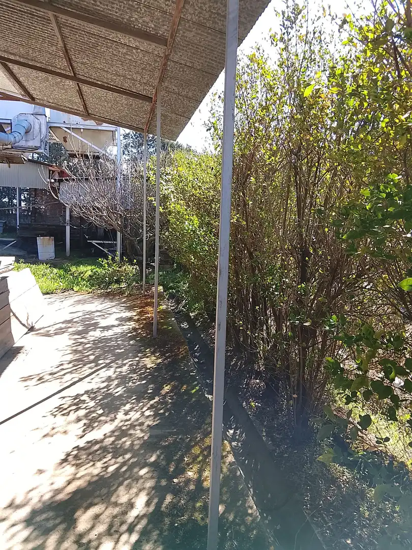 Industrial building for sale in Arenas de San Pedro, imagen 8