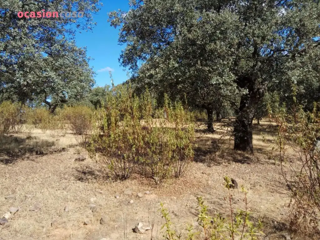 Finca rústica en venta en Villanueva del Duque