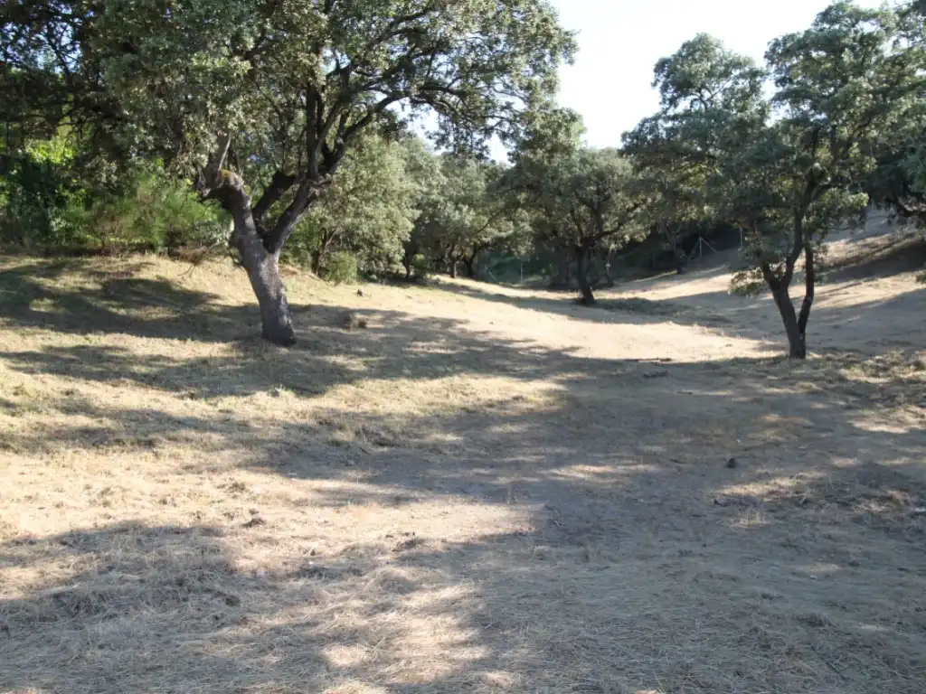 Terreny residencial en venda a Ciudalcampo, imagen 18