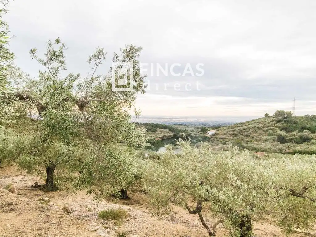 Finca rústica en venda en Tortosa amb Moblat