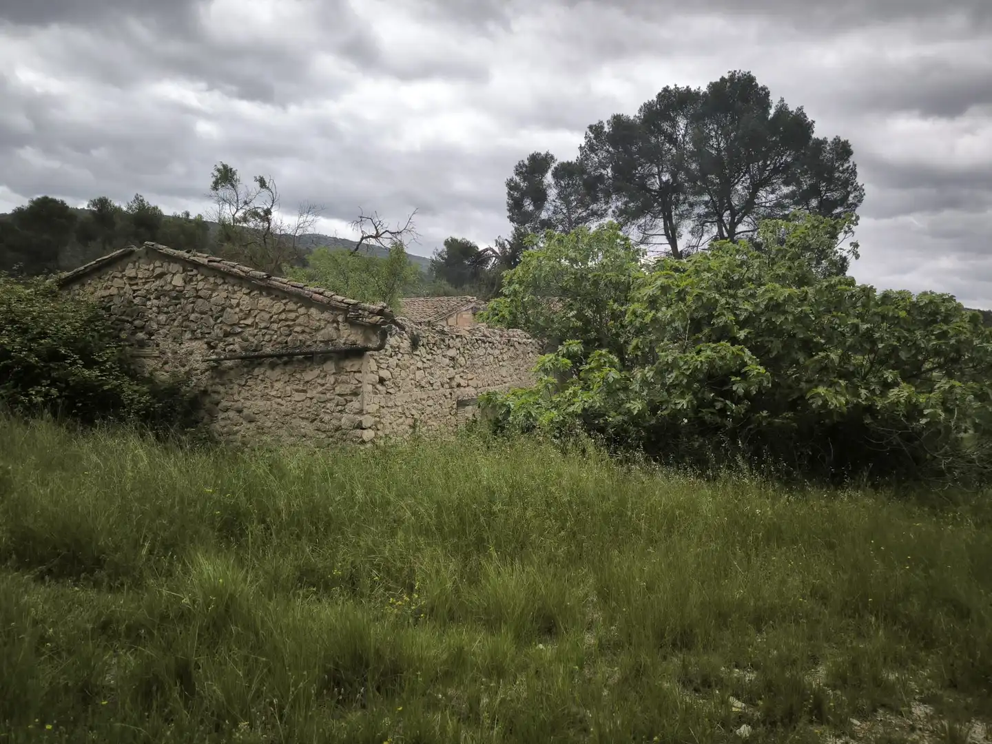 Rural land for sale in Penàguila, imagen 27
