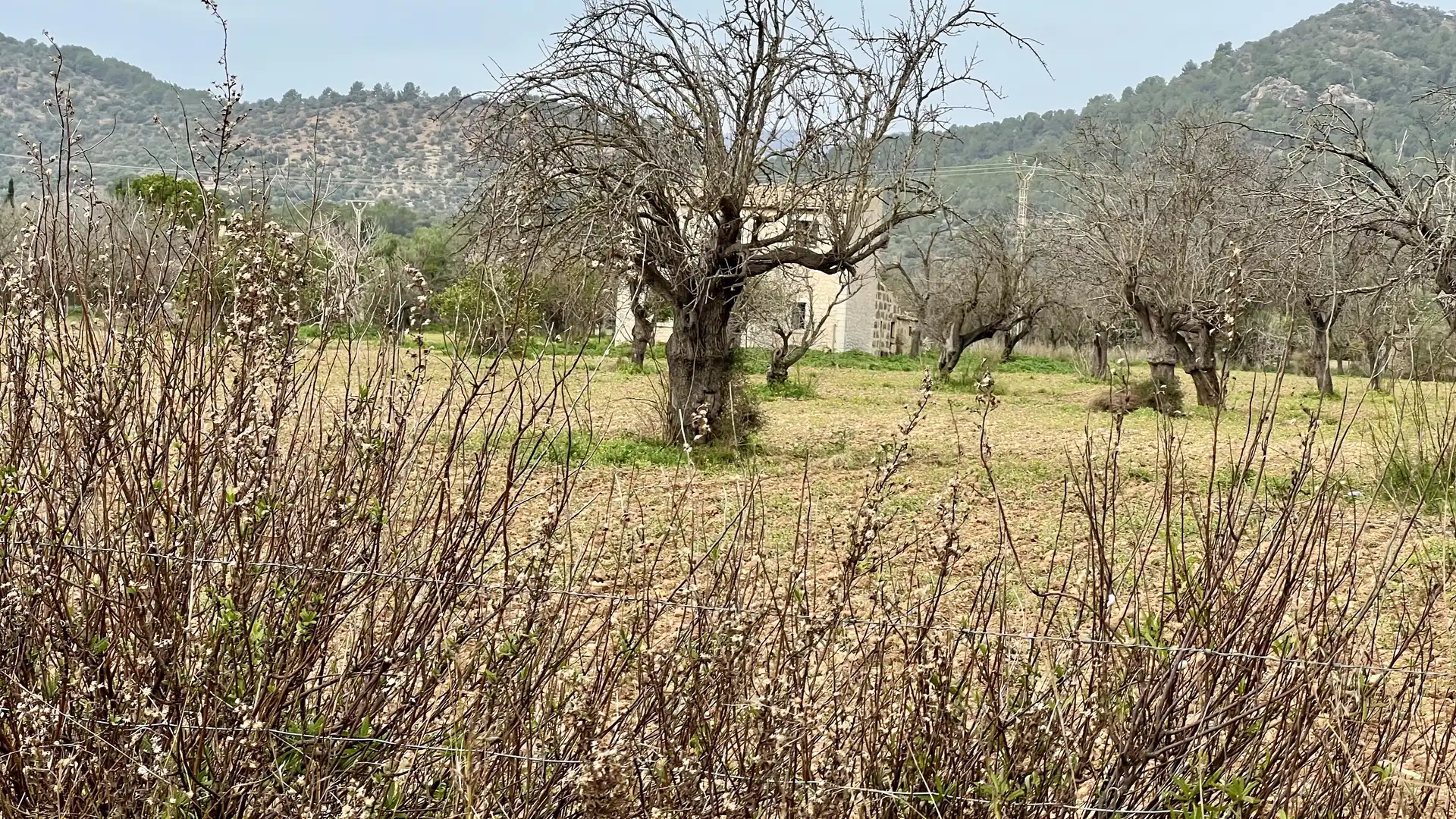 Maison rustique à vendre à Binissalem, imagen 20