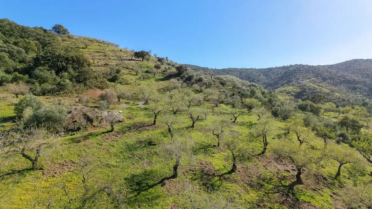 Terrenos y solares en venta en Este, imagen 3