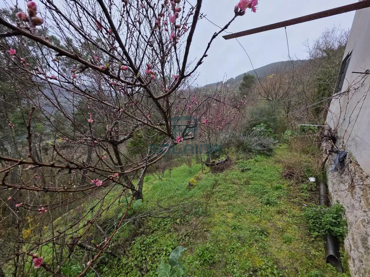 Casa o xalet en venda en Pantón amb Calefacció i Jardí privat