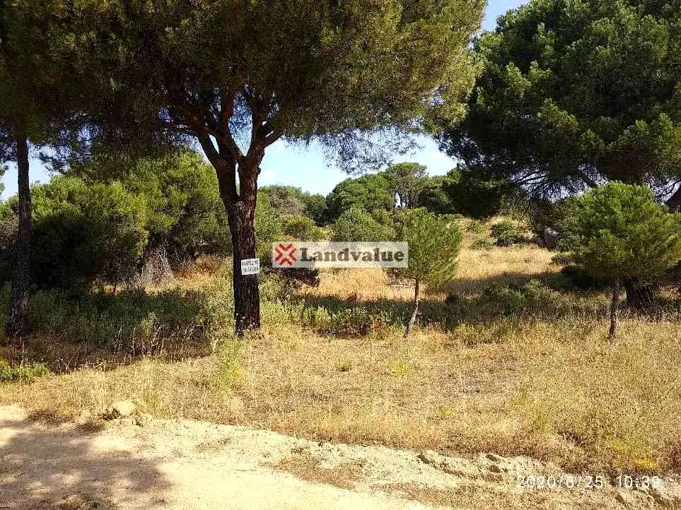 Rural land for sale in Virgen De La Nueva, imagen 3