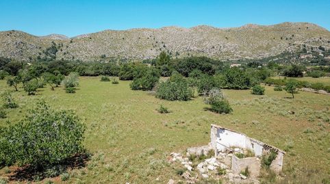 Parcela generosa en venta cerca de Puerto Pollensa en Mallorca, immagine 3