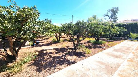 Photo 4 of House or chalet for sale in Vial Dels Holandesos, Villamontes - Boqueres, Alicante