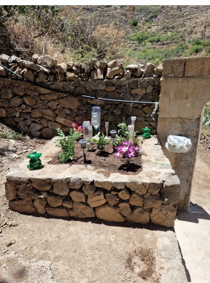 Garden of Country homes for sale in Gáldar  with Terrace