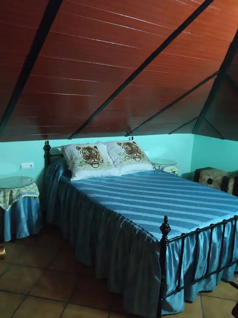 Chalet con jardín en venta en Calle Luciano 97, imagen 17