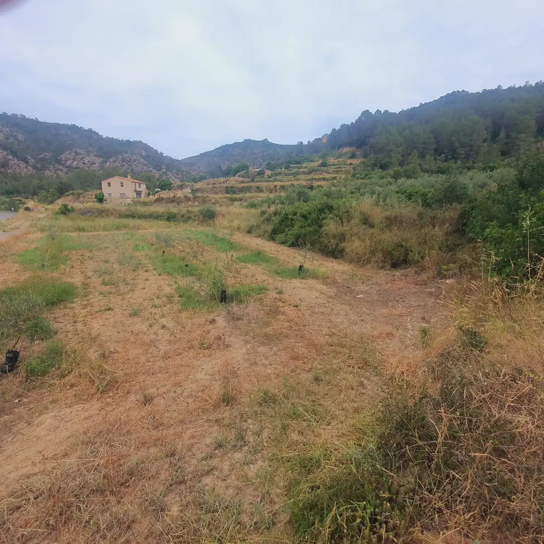 Terreno rústico en venta en Benifallet, imagen 3