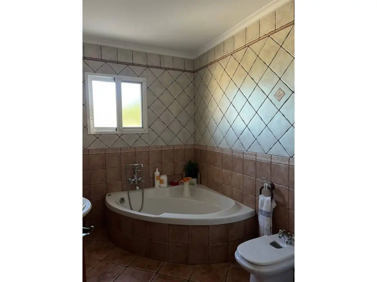 Bany de Casa o xalet en venda en Ador amb Aire condicionat, Calefacció i Jardí privat