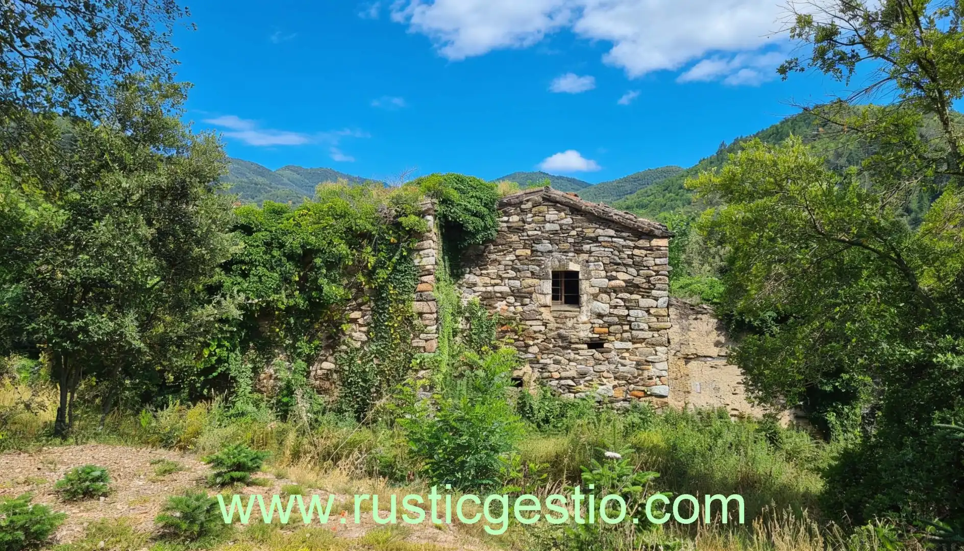 Finca rústica en venta en Osor con Jardín privado