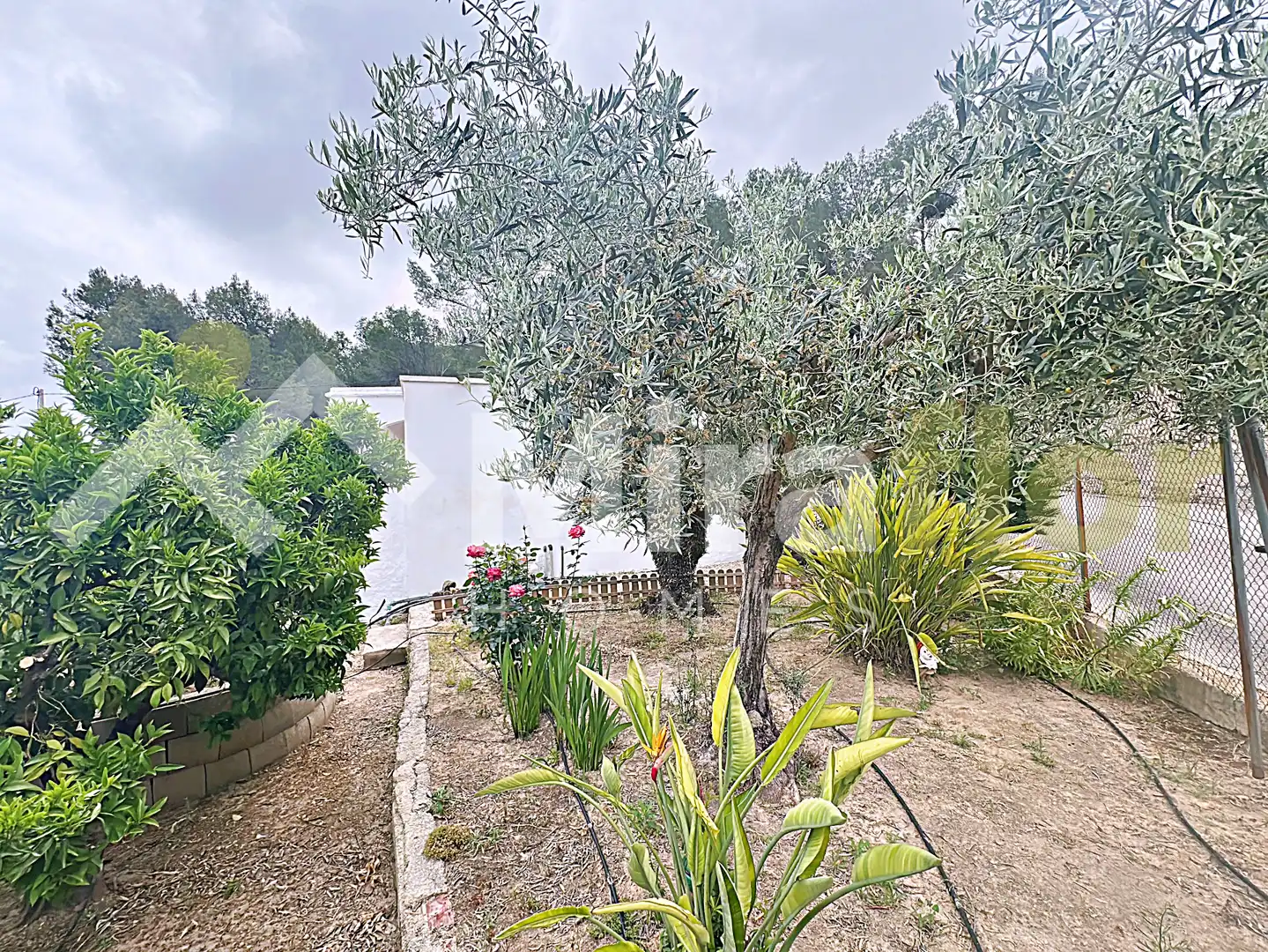 Jardín de Finca rústica en venta en Pego con Jardín privado, Terraza y Amueblado