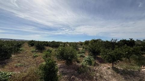 Foto 4 de Casa o xalet en venda a Callosa de Segura, Alicante