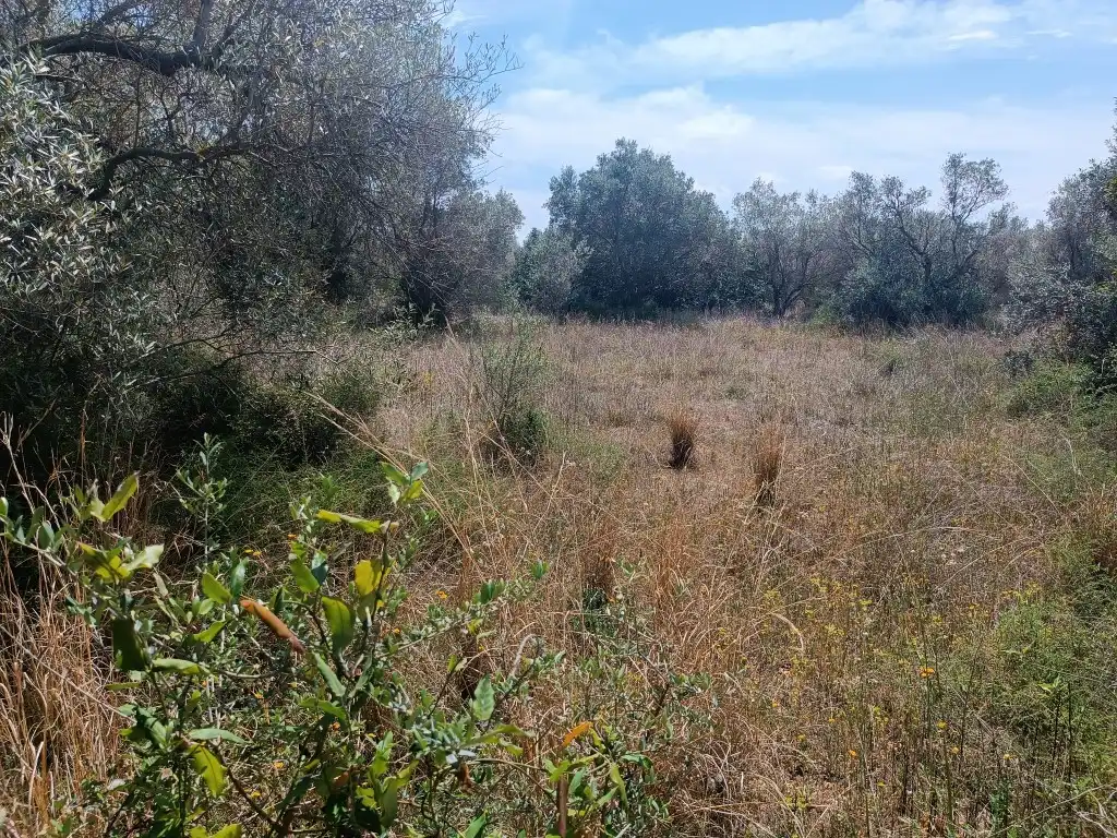 Nau industrial en venda en Canet lo Roig