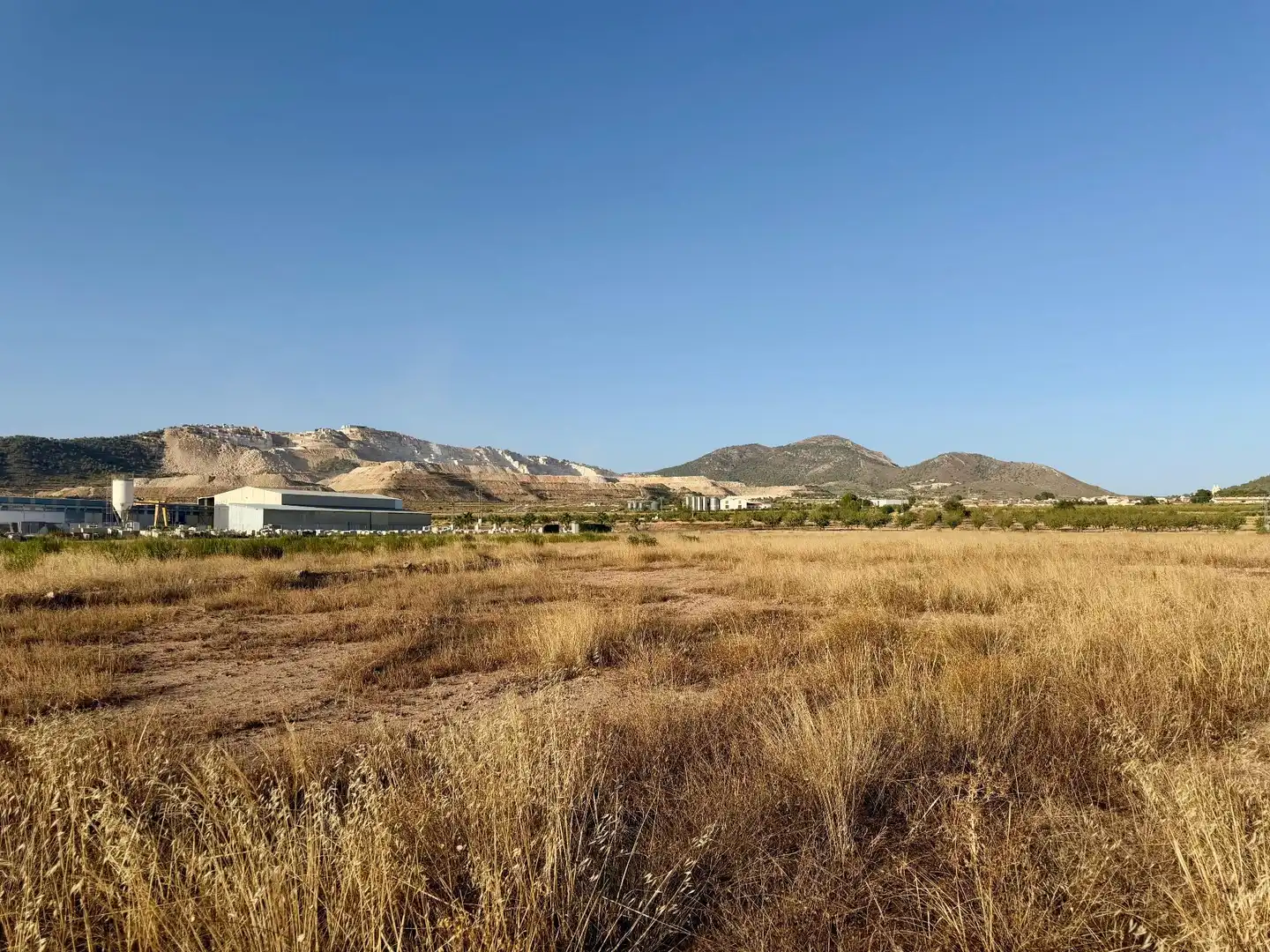 Rural land for sale in Algueña, imagen 4