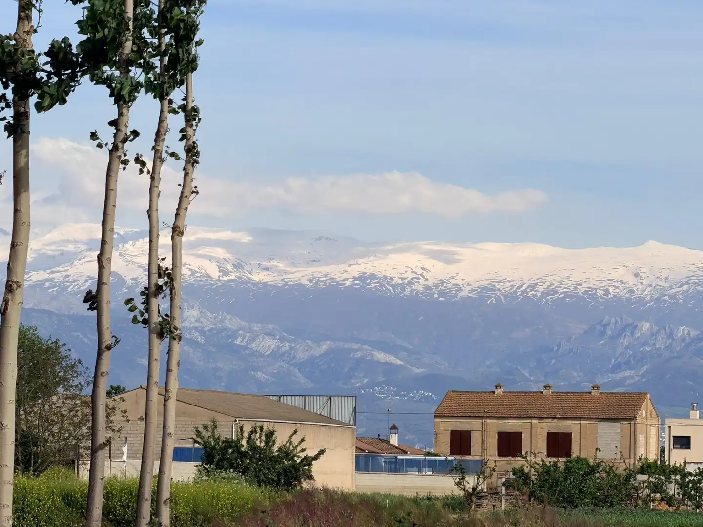 Terrains et parcelles à vendre à Fuente Vaqueros, imagen 5