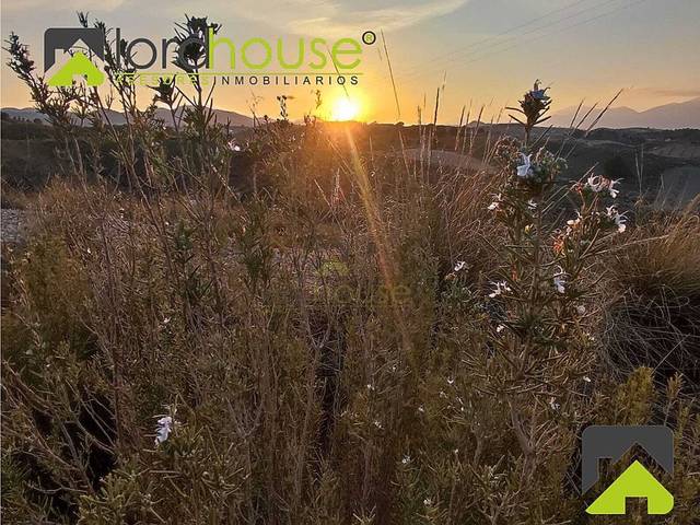 Finca rústica en Venta en N/A en Parrilla