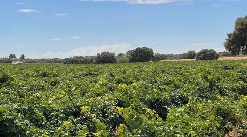 Foto 5 de Residencial en venda a Nuevo Hospital, Ciudad Real