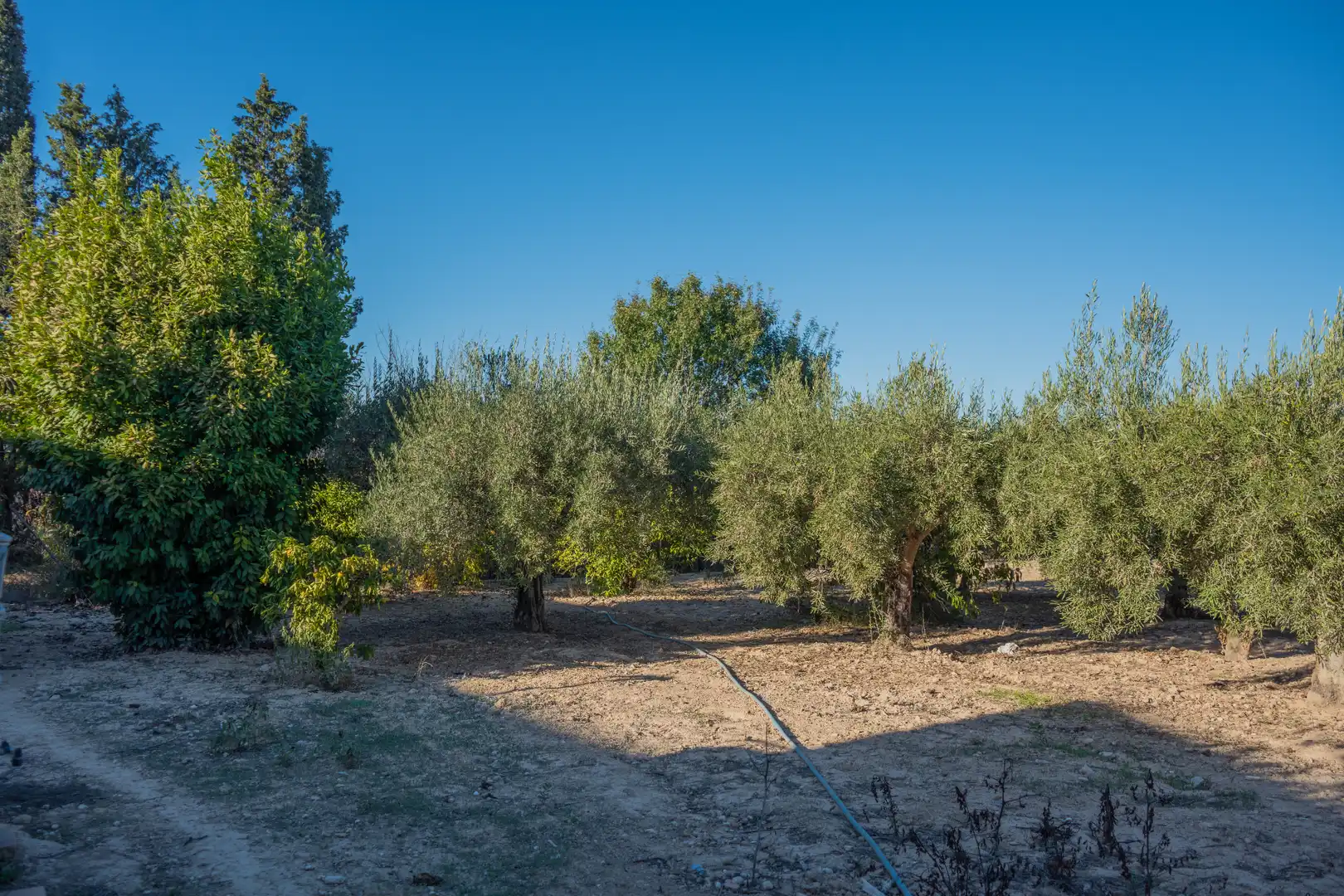 Casa o chalet en venta en Molina de Segura con Aire acondicionado, Jardín privado y Terraza