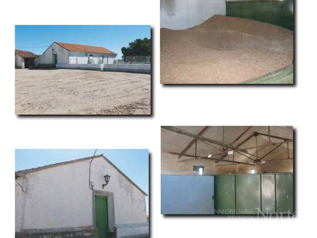 Exterior view of House or chalet for sale in Valdepiélagos
