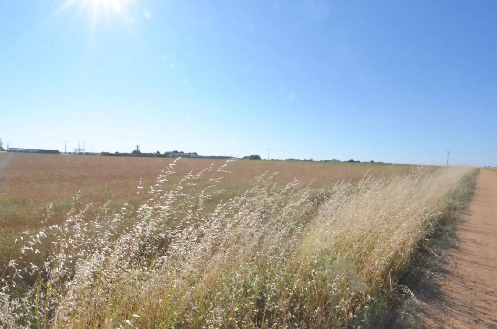 Rural land for sale in Calzada de Valdunciel