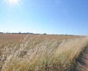 Grundstücke zum verkauf in Calzada de Valdunciel