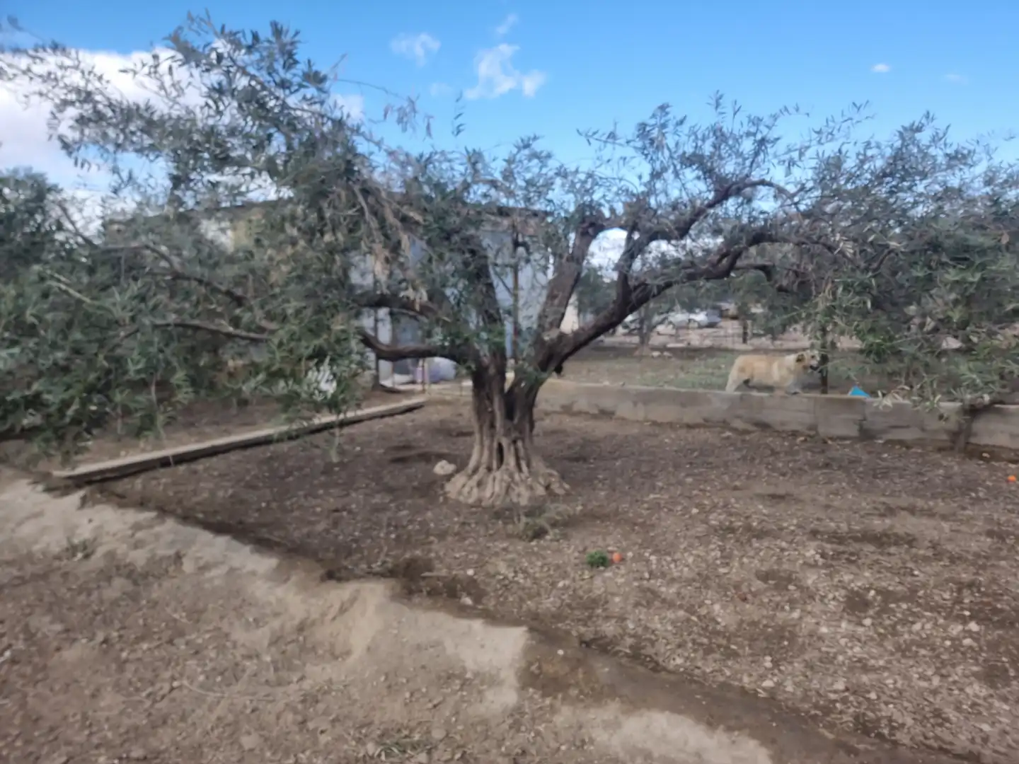 Finca rústica en venta en Pechina con Aire acondicionado, Calefacción y Jardín privado