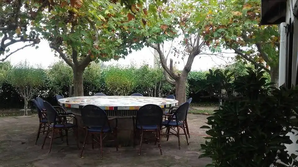Garden of Land for sale in Tudela