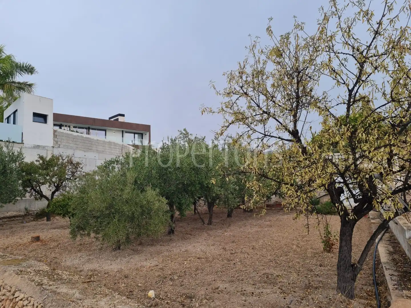 Houses for sale in Petrer