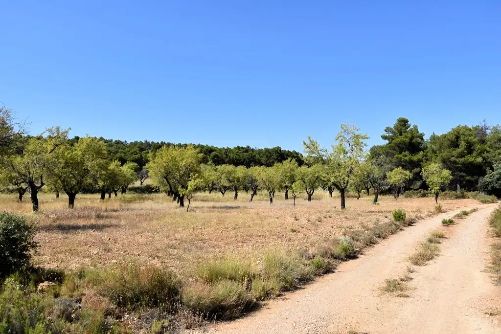 Industrial land for sale in Fuentespalda