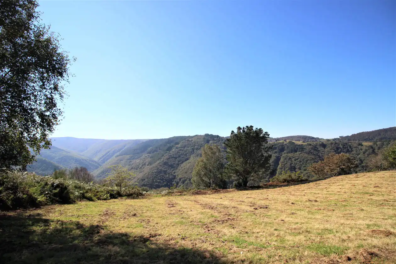 Casa o chalet en venta en A Pontenova   con Jardín privado