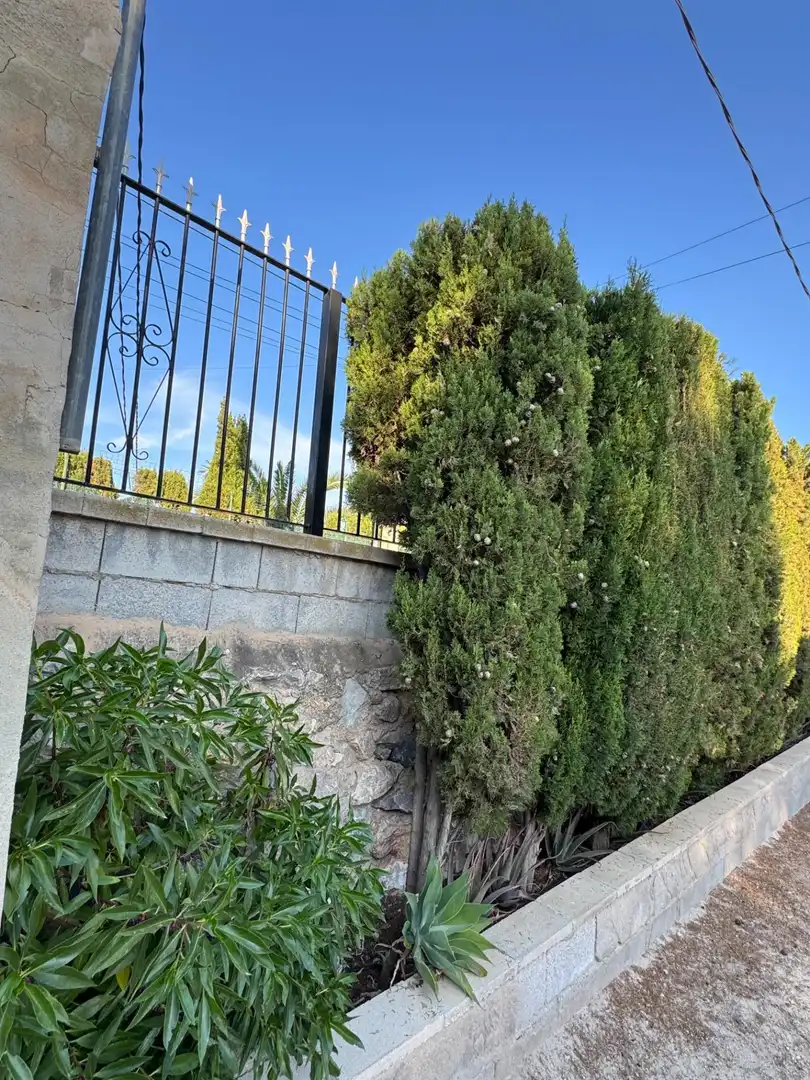 Maison avec piscine à vendre à Albatera, imagen 23