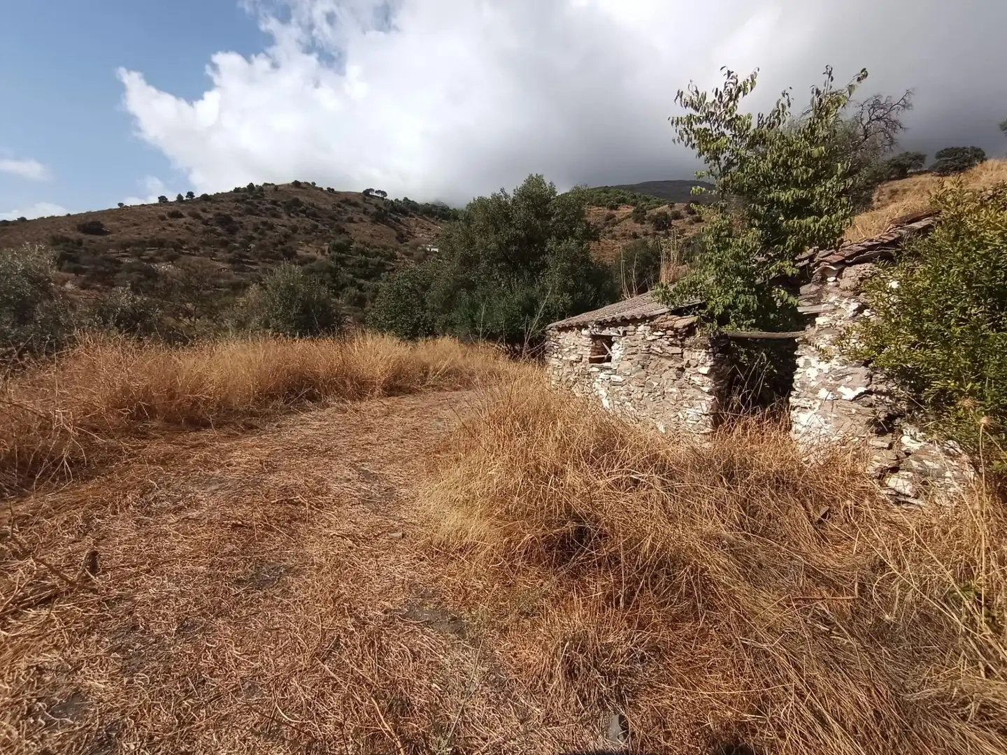 Terreni e lotti in vendita a Sedella, imagen 20