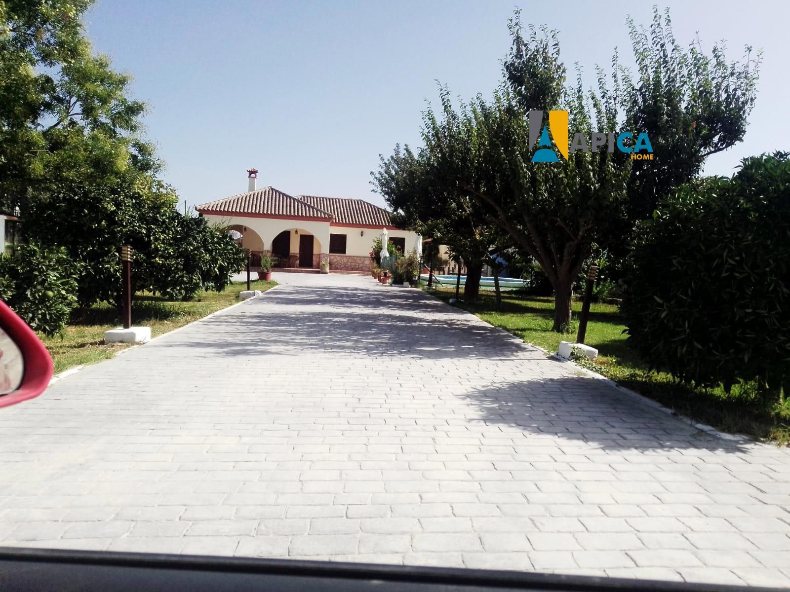 Vista exterior de Casa o xalet en venda en Barbate amb Aire condicionat, Calefacció i Traster