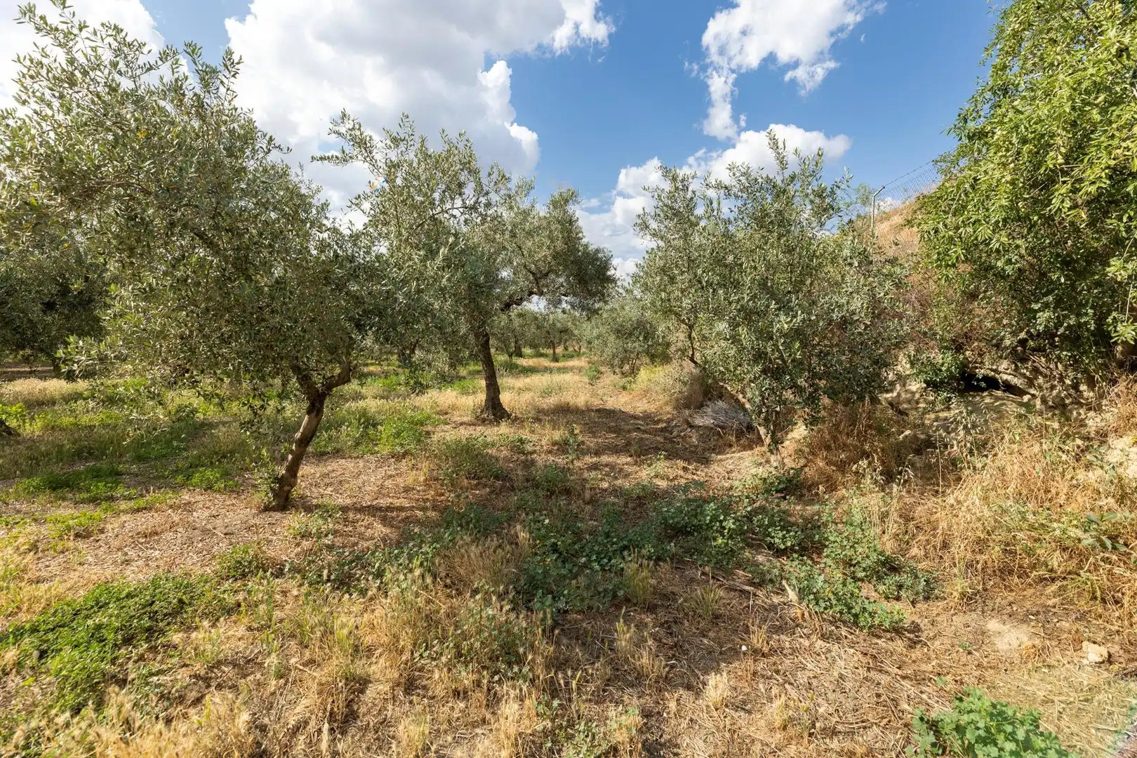 Terreno rustico in vendita a Calle POL 1, PARC 176, imagen 20
