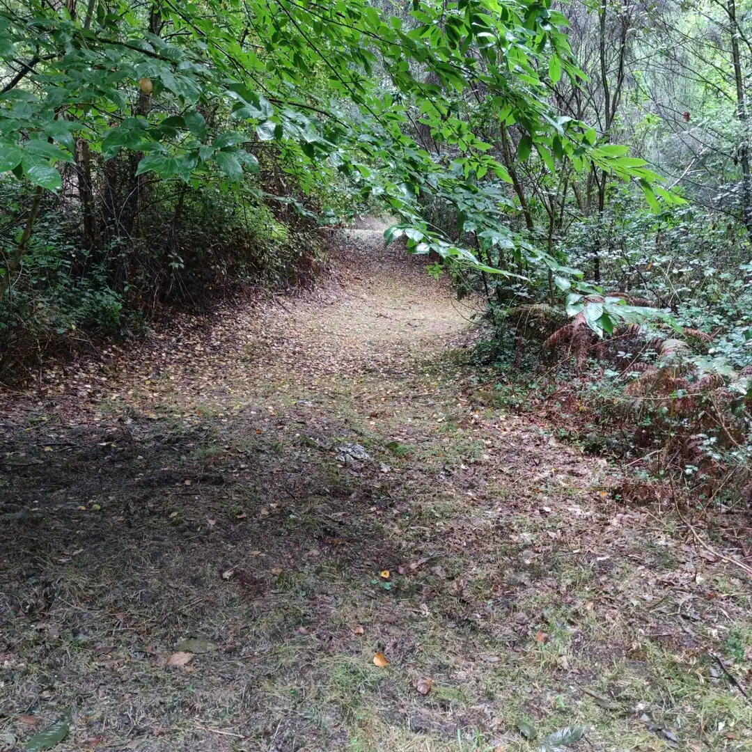 Land for sale in Cotobade